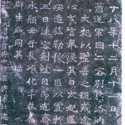 Records of Yuan Xiang's Portraits