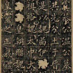 Calligraphy Appreciation of Ouyang Xun's Epitaph of Duke Wen