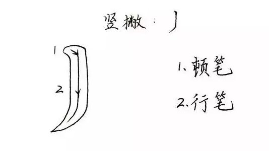 练字笔画