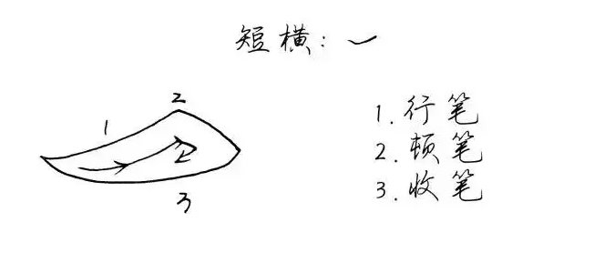 练字笔画