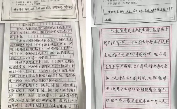 练字对比