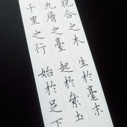 What can long-term learning of calligraphy bring us?