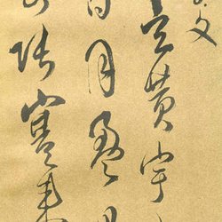 Calligraphy Appreciation Fu Shan's "Cursive Script Thousand Characters"