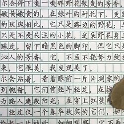 Appreciation of 8-year-old boy's "fairy handwriting" pen calligraphy works of primary school students