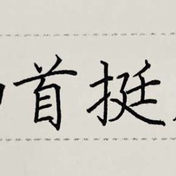 How can I practice calligraphy efficiently? What is the point of practicing calligraphy?