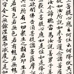 Appreciation of Xingkai calligraphy in Su Shi's "Diamond Sutra", shared by 15 practice calligraphy network