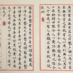 How should the steps of learning calligraphy be arranged?