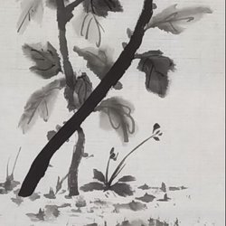 Zhao Wenxiao's work "Ink Chrysanthemum" category of flower and bird paintings