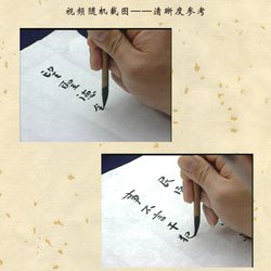 Teaching Lectures on Seal Script, Official Script, Cursive Script, Running Script and Regular Script