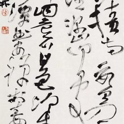 Appreciation of Calligraphy Works by Liu Hongbiao, Fang Fang, Bai Rui, Zhang Xuequn, Zhuge Lina and Chen Jialin