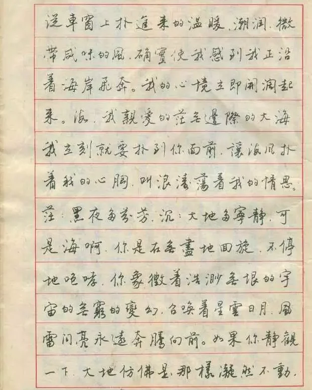 硬笔字欣赏